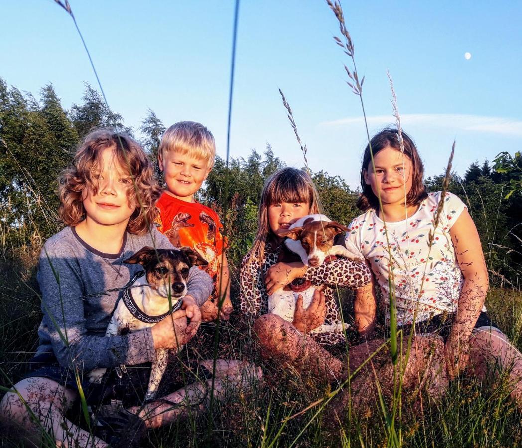 Broesarp Kaellagarden Stora Gardslaegenheten エクステリア 写真