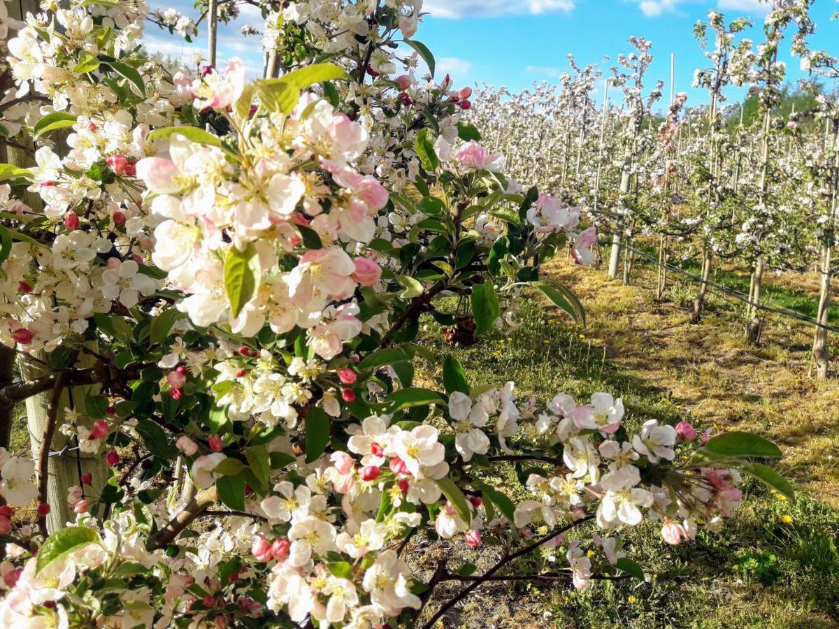 Broesarp Kaellagarden Stora Gardslaegenheten エクステリア 写真